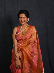 Two Tone Pink Tissue Banarasi Silk Saree - SRTTPTBSS67