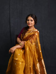 Mustard Gold Tissue Banarasi Silk Saree - SRMGTBSS56