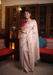 Beige Raw Silk Saree - SRBRSS719