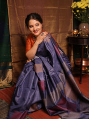 Slate Blue Tussar Silk Saree - SRSBTSS1905