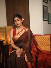 Brown Maheshwari Tissue Saree - SRBMTS610