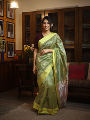Pista Green Chanderi Silk Saree - SRPGCSS229