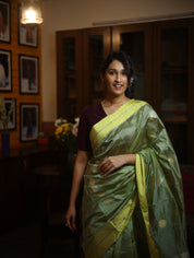 Pista Green Chanderi Silk Saree - SRPGCSS229