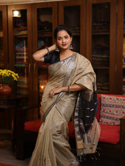 Beige Maheshwari Tissue Saree - SRBMTS389
