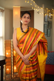 Multicolor Soft Silk Saree - SRMSSS299