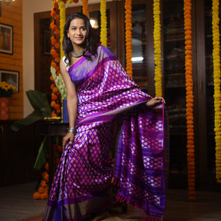 Purple Pochampalli Silk Ikat Saree-SRPPSIS123