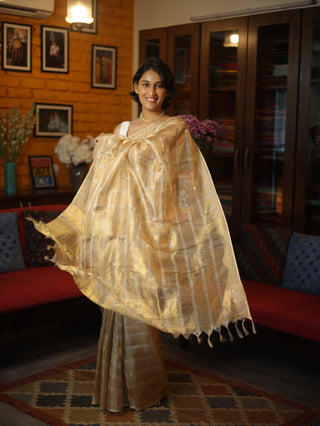 Golden Tissue Tussar Sequin Silk Saree - SRGTTSSS244