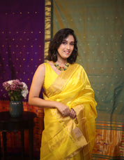 Yellow Chanderi Silk Saree - SRYCSS338