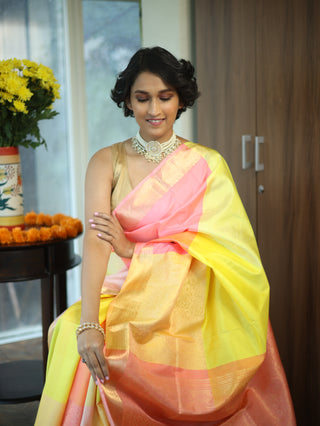 Multicolor Soft Silk Saree - SRMSSS245