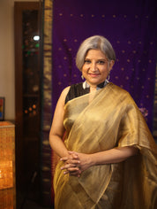 Golden Gray Tissue Tussar Silk Saree - SRGGTTSS380