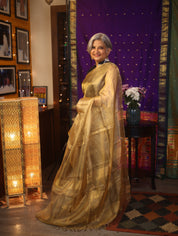 Golden Gray Tissue Tussar Silk Saree - SRGGTTSS380