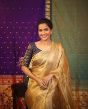 Golden Beige Tissue Tussar Silk Saree - SRGBTTSS384
