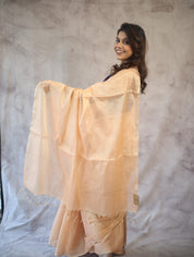 Peach Maheshwari Tissue Saree - SRPMTS125EX