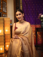 Golden Mauve  Tissue Tussar Silk Saree - SRGMTTSS386