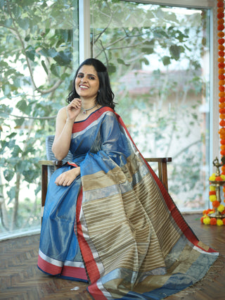 Pastel Blue Silk Maheshwari Saree -SRPBSMS165