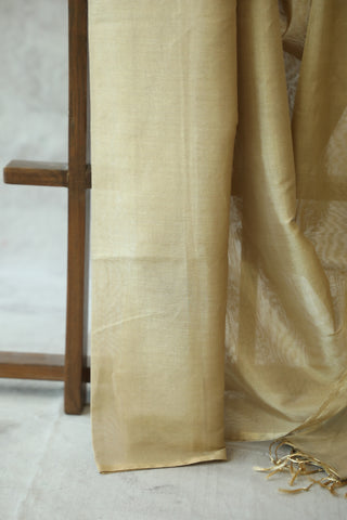 Light Gold Tissue Maheshwari Saree - SRLGTMS136EX