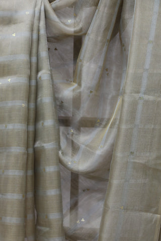 Beige Tissue Tussar Sequin Silk Saree - SRSTTSSS243