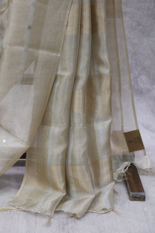 Beige Tissue Tussar Sequin Silk Saree - SRBTTSSS242