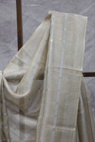 Beige Tissue Tussar Sequin Silk Saree - SRBTTSSS242