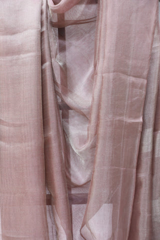 Light Pink Tissue Tusser Silk Saree - SRLPTTSS248