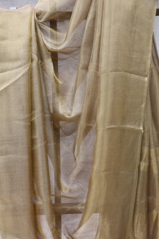 Golden Tissue Tusser Silk Saree - SRGTTSS249