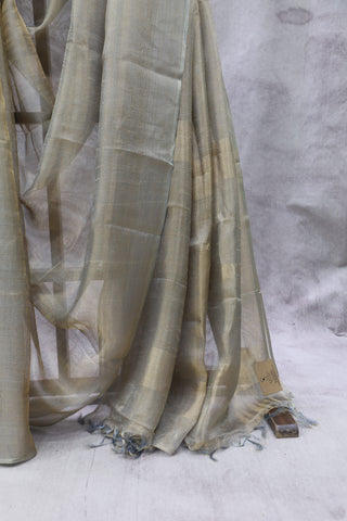 Grey Tissue Tusser Silk Saree - SRGTTSS261