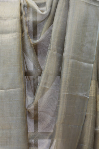 Grey Tissue Tusser Silk Saree - SRGTTSS261