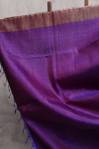 Blue Patola Raw Silk Saree - SRBPRSS350