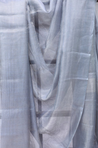 Grey Tissue Tussar Silk Saree - SRGTTSS252