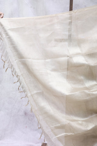 Beige Tissue Tussar Silk Saree - SRBTTSS257