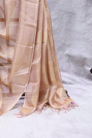 Pink Tissue Tussar Silk Saree - SRBTTSS275