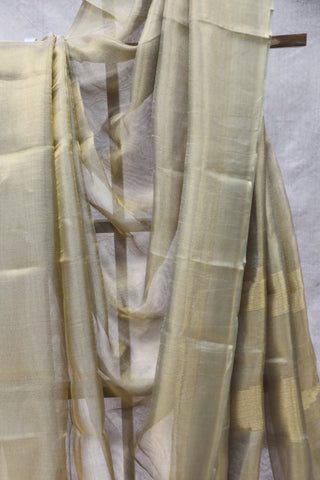 Copper Gold Tissue Tussar Silk Saree - SRCGTTSS277