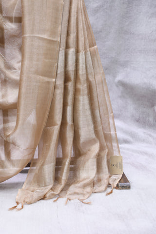 Copper Tissue Tussar Silk Saree - SRCTTSS279