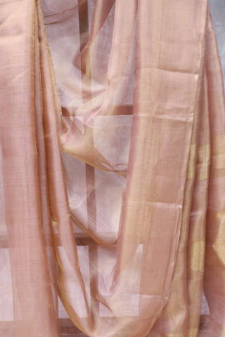 Pink Tissue Tussar Silk Saree - SRPTTSS280