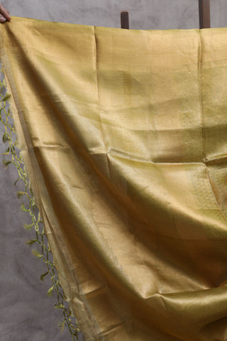 Two-Tone Green Tissue Tussar Silk Saree-SRTTGTTSS114