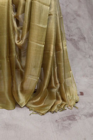 Khaki Tissue Tussar Silk Saree-SRKTTSS74