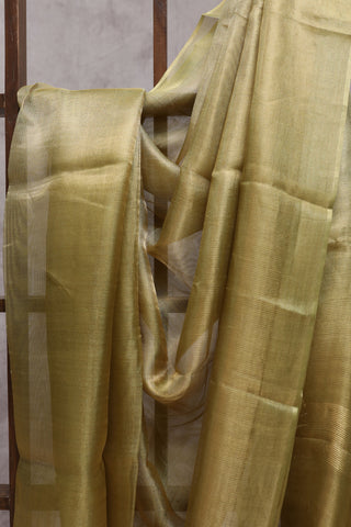 Khaki Tissue Tussar Silk Saree-SRKTTSS74