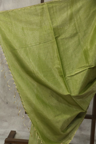 Green Tissue Maheshwari Saree - SRGTMS139EX