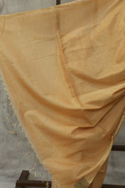 Peach Maheshwari Tissue Saree - SRPMTS125EX