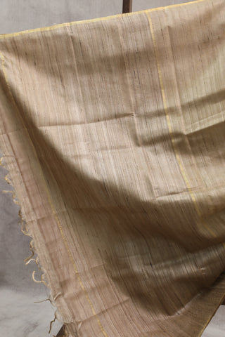 Beige Tussar Silk Saree-SRBTSS811