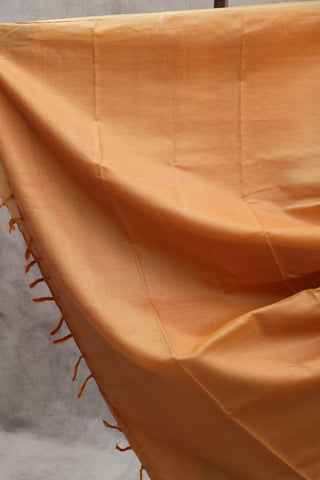 Orange Tussar Silk Saree-SROTSS824