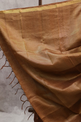 Brown Tussar Silk Saree-SRBTSS847