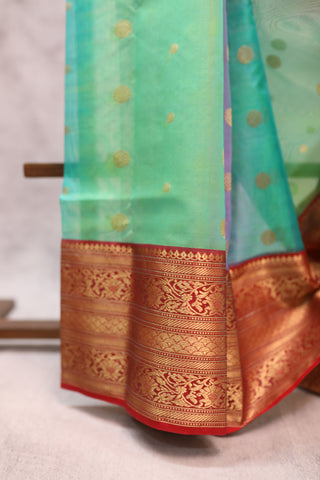 Pastel Green Chanderi Tissue Silk Saree-SRGCTSS62