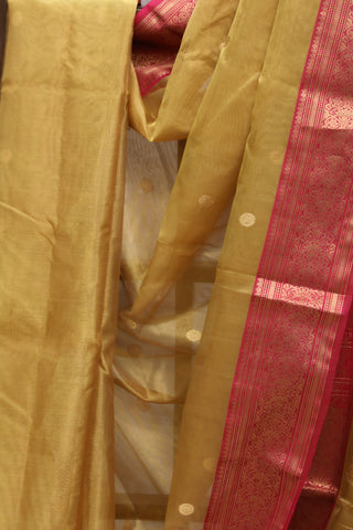 Golden Chanderi Tissue Silk Saree-SRGCTSS125