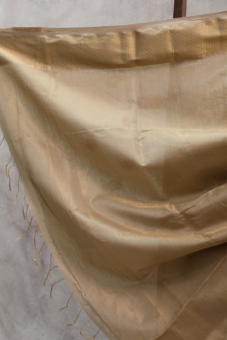 Khaki Maheshwari Tissue Silk Saree - SRKMTSS216