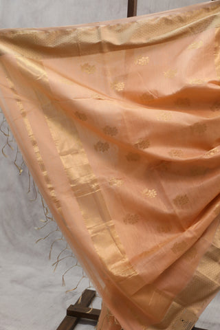 Carrot Maheshwari Tissue Silk Saree - SRCMTSS211