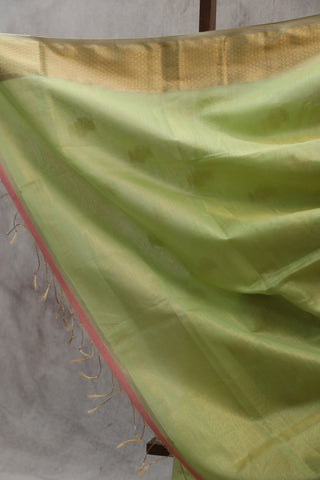 Pastel Green Maheshwari Tissue Silk Saree - SRPGMTSS210