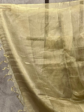 Light Green Tissue Tusser Silk Saree - SRLGTTSS203