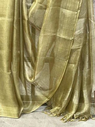 Light Green Tissue Tusser Silk Saree - SRLGTTSS203