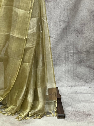 Light Green Tissue Tusser Silk Saree - SRLGTTSS203